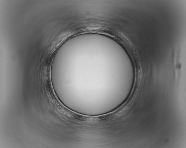 X0000113991353200910231721