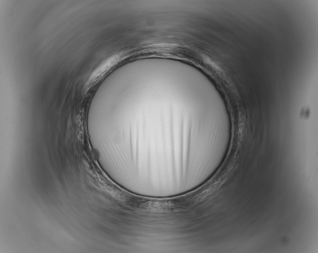 X0000113991354200910231721