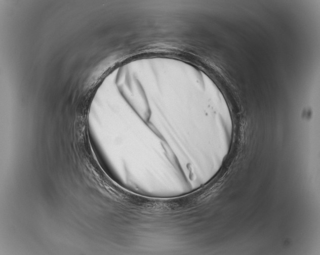 X0000113991355200910231721