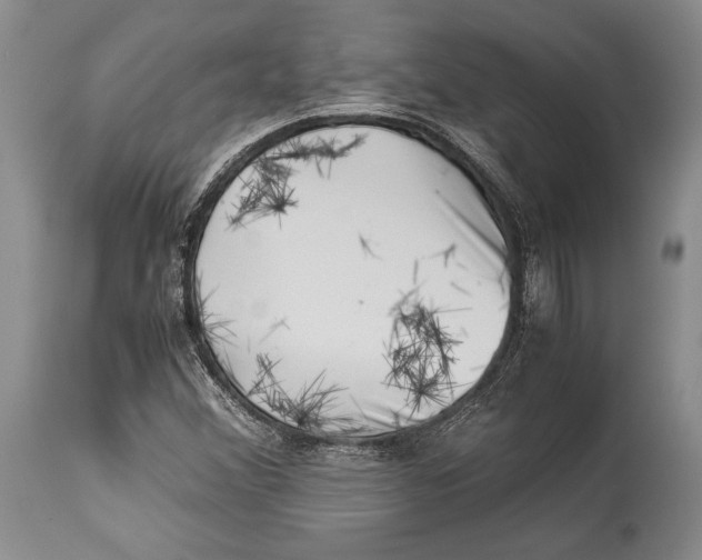 X0000113991356200910231721