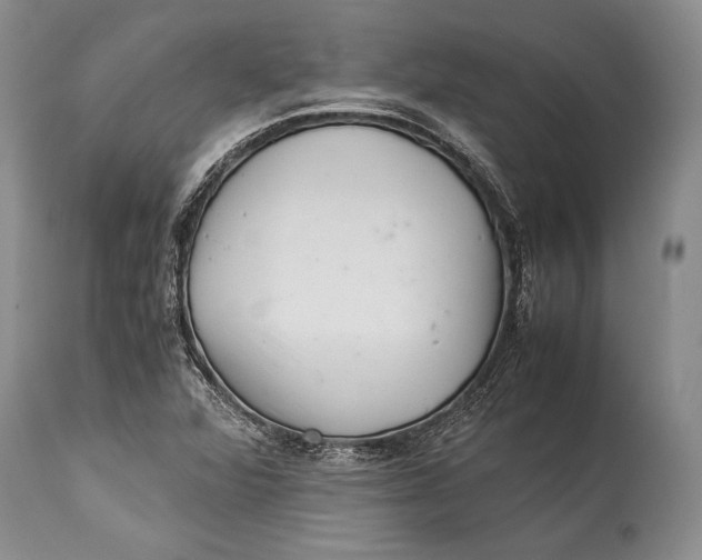 X0000113991360200910231720