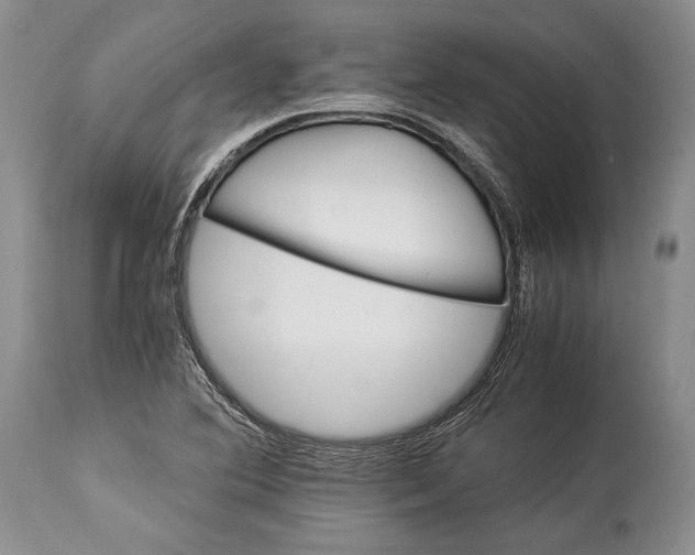 X0000113991364200910231720