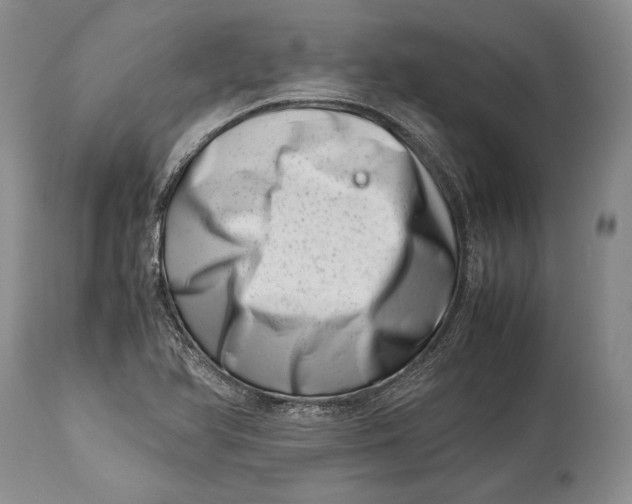 X0000113991366200910231720