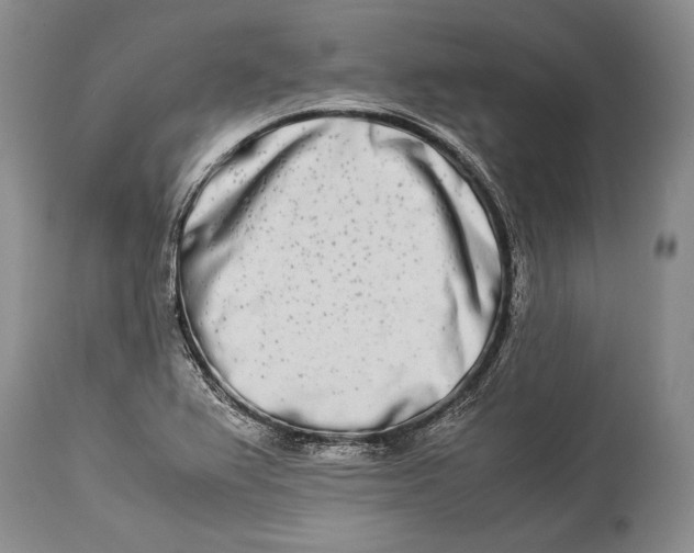 X0000113991367200910231720