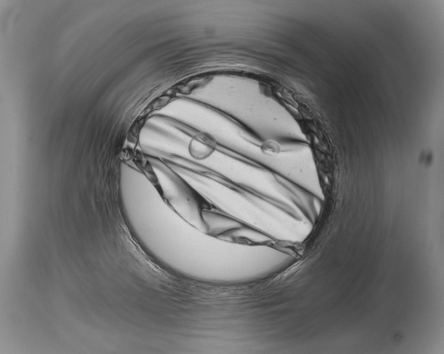 X0000113991369200910231720