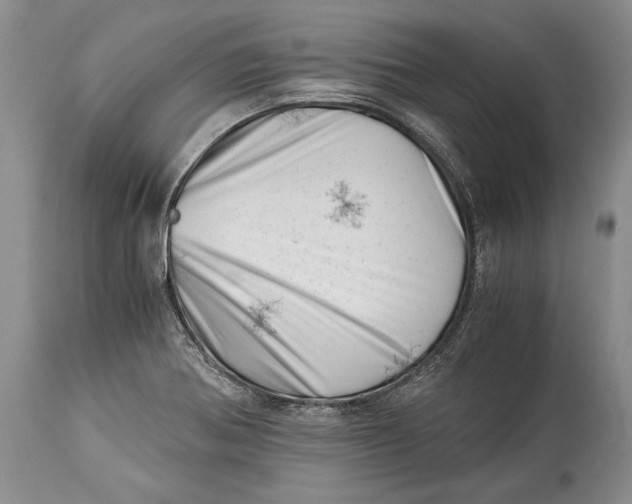 X0000113991370200910231720