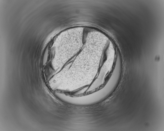 X0000113991373200910231720