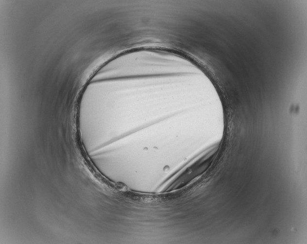 X0000113991375200910231720