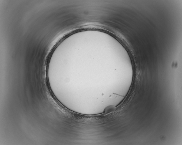 X0000113991376200910231720