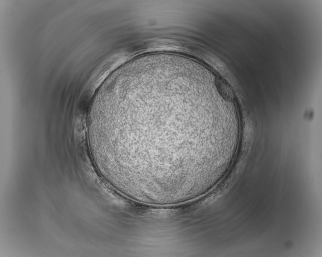 X0000113991377200910231720