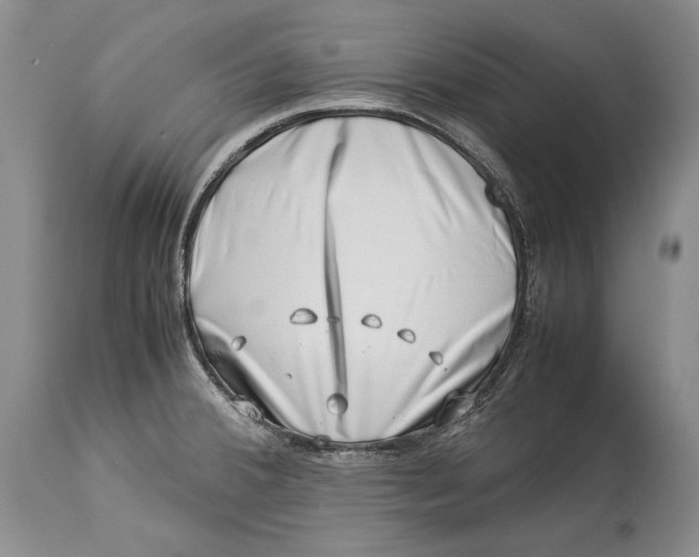 X0000113991380200910231720