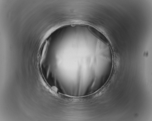 X0000113991381200910231720