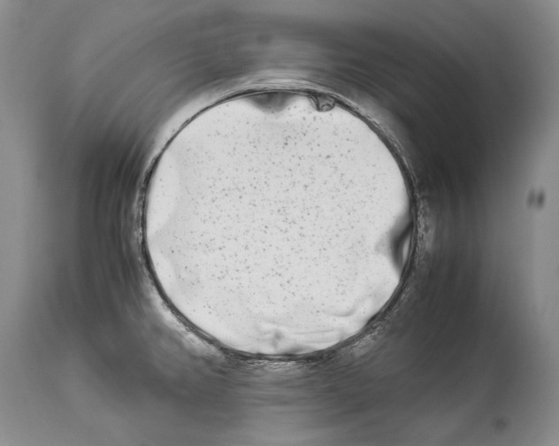 X0000113991382200910231720