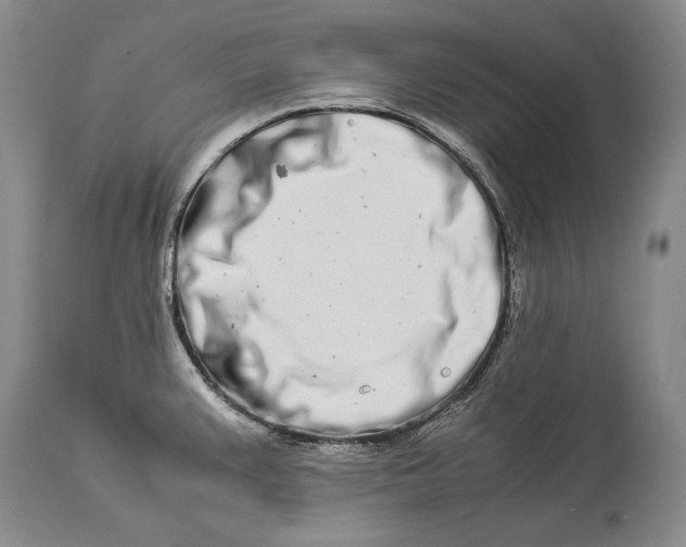 X0000113991383200910231720