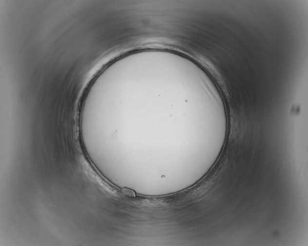 X0000113991384200910231720