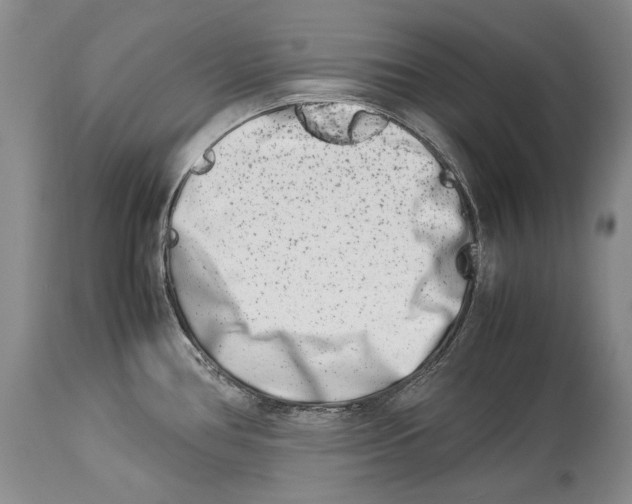 X0000113991386200910231720