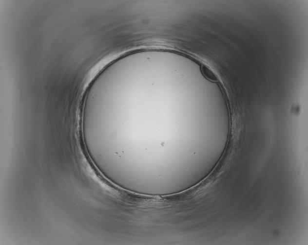 X0000113991387200910231720