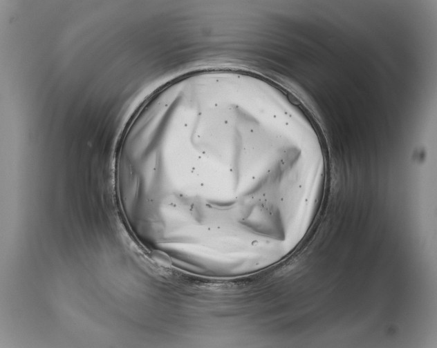 X0000113991388200910231720