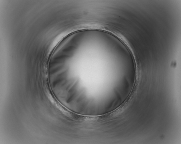 X0000113991389200910231720