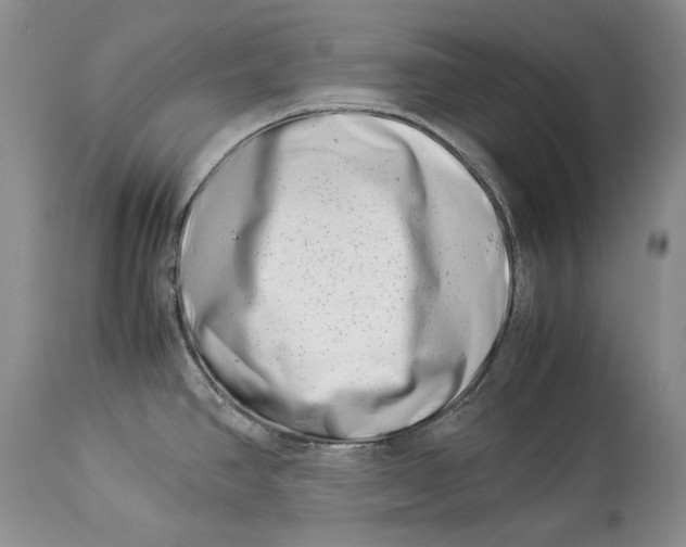 X0000113991390200910231720