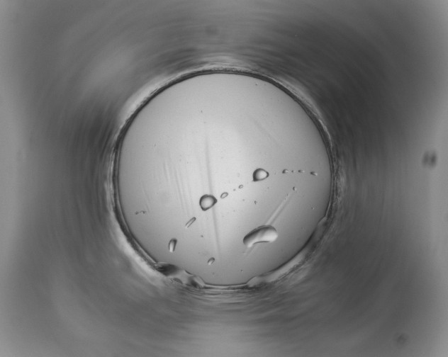 X0000113991391200910231720