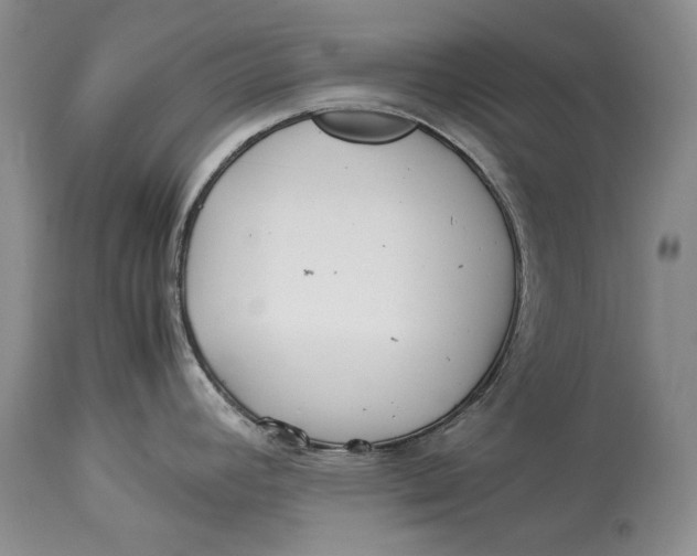 X0000113991392200910231720