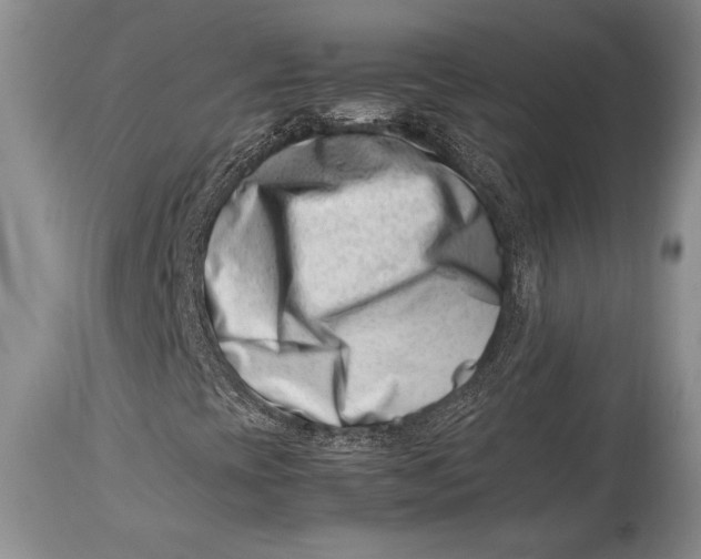 X0000113991393200910231719