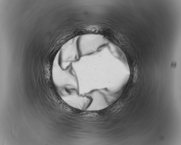 X0000113991394200910231719