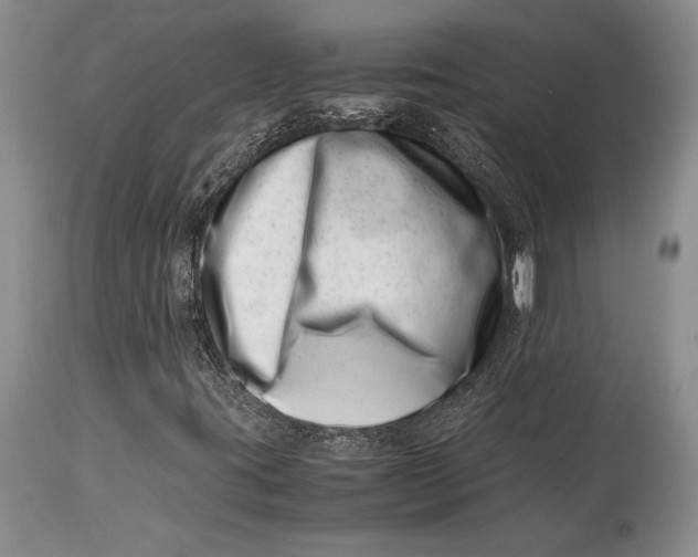 X0000113991395200910231719