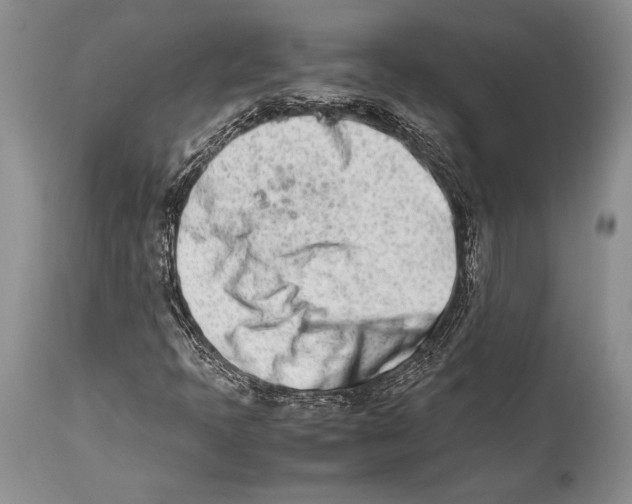 X0000113991397200910231719