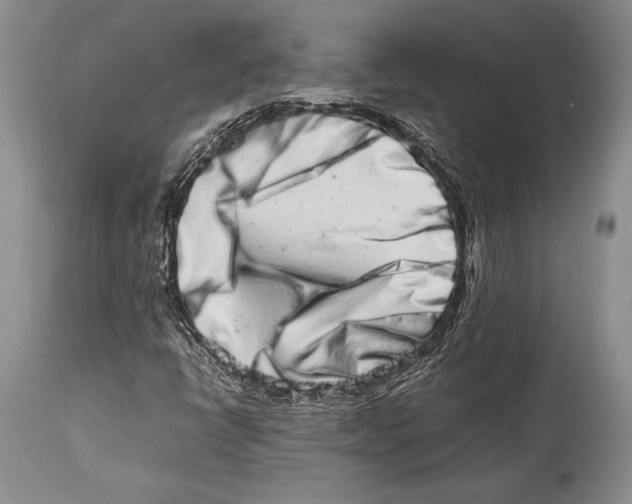 X0000113991398200910231719