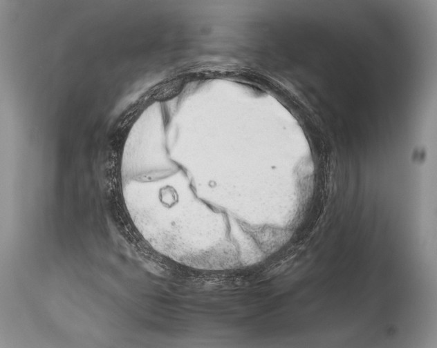 X0000113991399200910231719