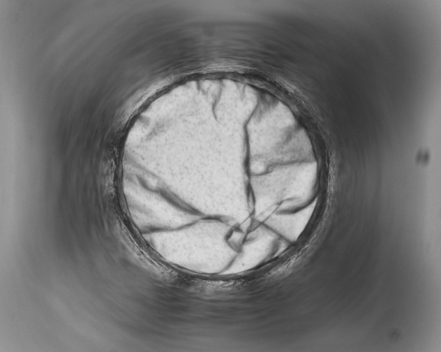 X0000113991401200910231719