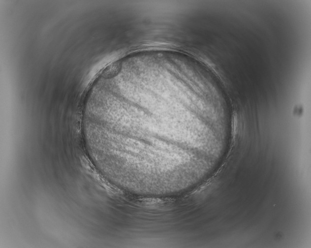 X0000113991405200910231720