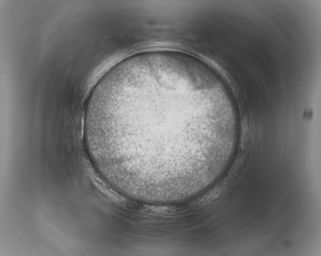 X0000113991413200910231720