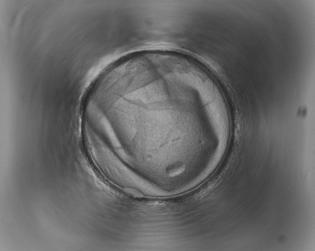 X0000113991414200910231720