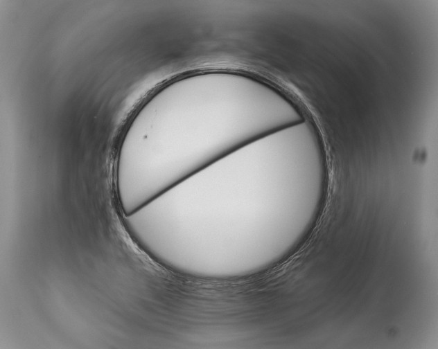 X0000113991416200910231720