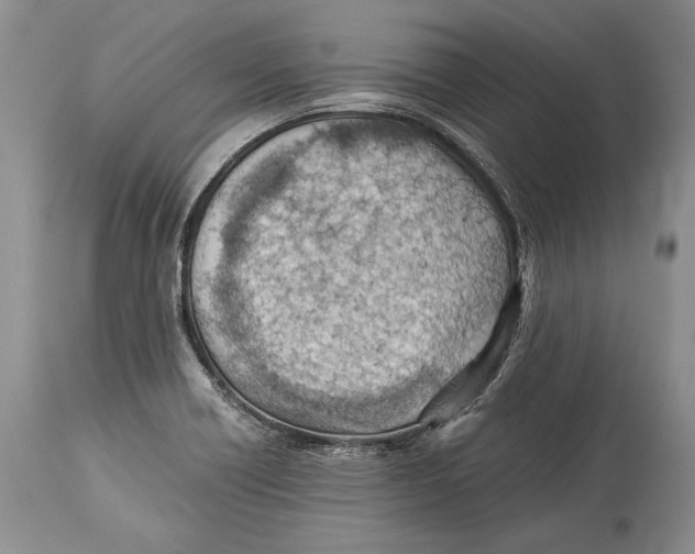 X0000113991418200910231720