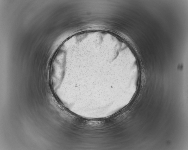 X0000113991419200910231720