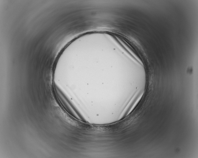 X0000113991420200910231720