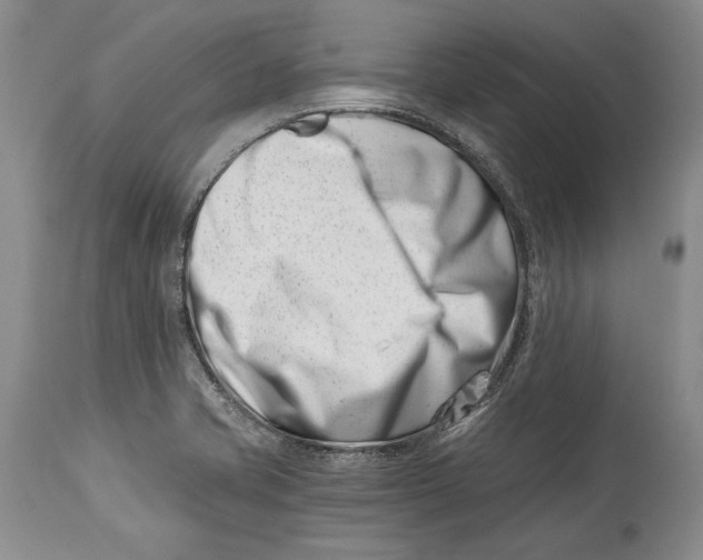 X0000113991421200910231720