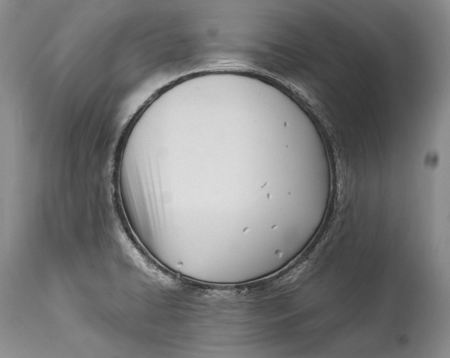 X0000113991422200910231720