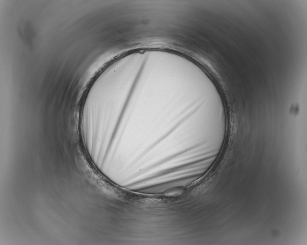 X0000113991424200910231720