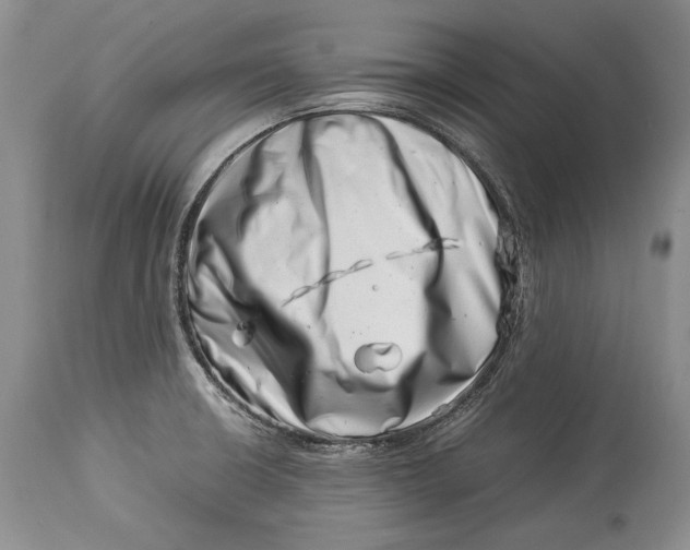 X0000113991426200910231720