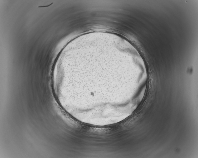 X0000113991427200910231720