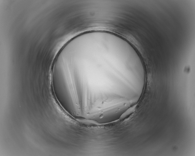 X0000113991428200910231720