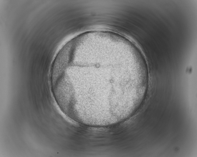 X0000113991429200910231720