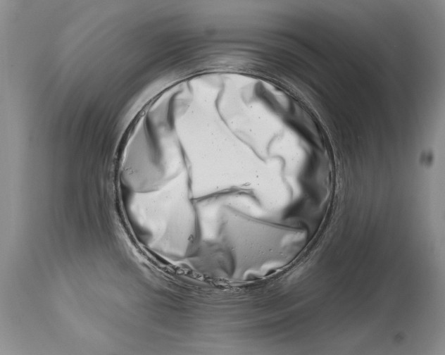 X0000113991434200910231720