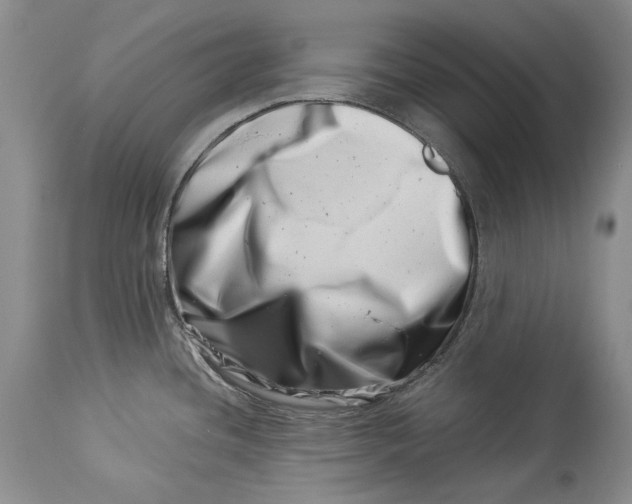 X0000113991436200910231720