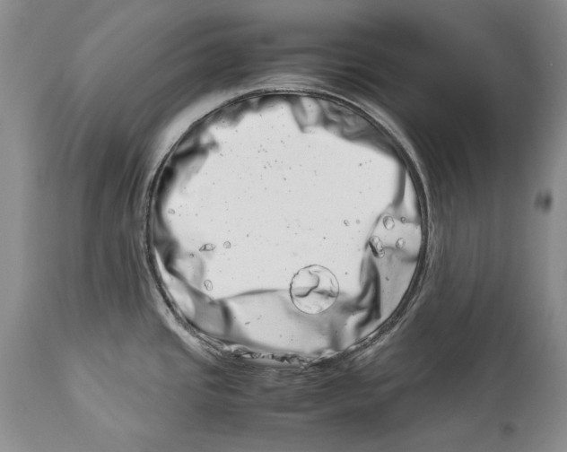 X0000113991437200910231720